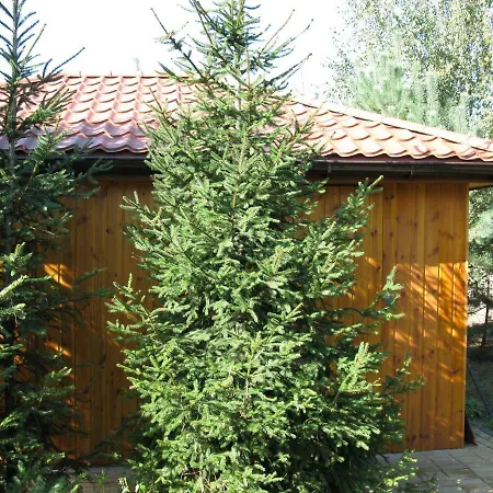 Apisoltysowka Powązki