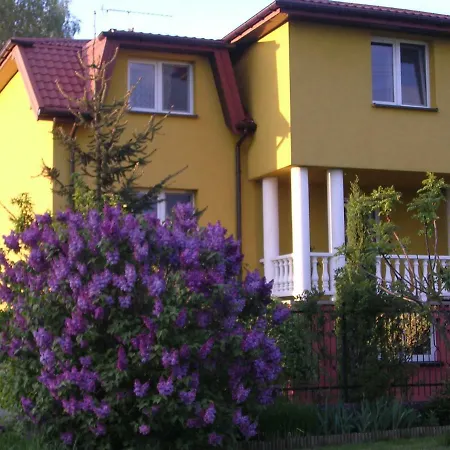 Apisoltysowka Powazki